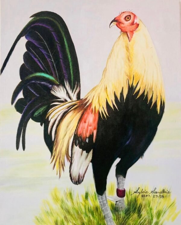 Gallo Radiante: Símbolo de Vida y Tradición
